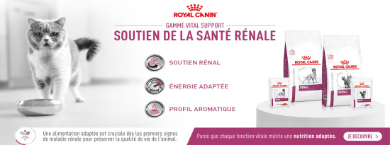 ROYAL CANIN VITAL SUPPORT