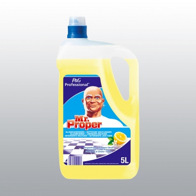 MR PROPRE PROFESSIONNEL