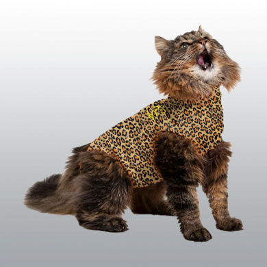 BODY MEDICAL PET SHIRT CHAT LEOPARD