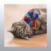 JOUET KONG CHAT ACTIVE SCRUNCHIE