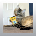 JOUET KONG CHAT ARTZ DALI / VAN GOGH