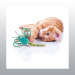 JOUET KONG CHAT FLINGAROO DRAGONFLY