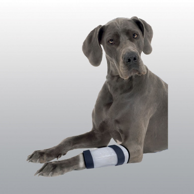 ATTELLE DE PROTECTION CATHETER 