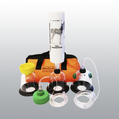 REANIMATEUR POULAIN MC CULLOCH