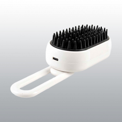 BROSSE A VAPEUR ET MASSAGE