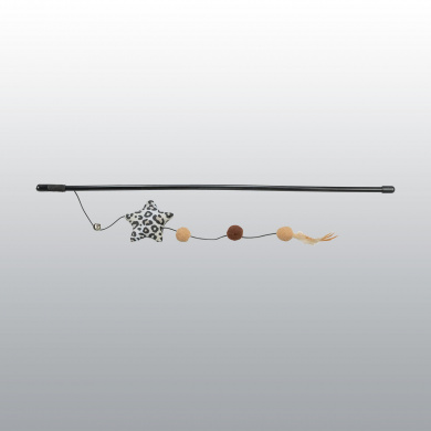 CANNE A PECHE ETOILE LEO