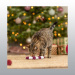JOUET CHAT SUCRE D'ORGE NOEL