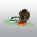 GAMELLE CHAT FUNKY FEEDING