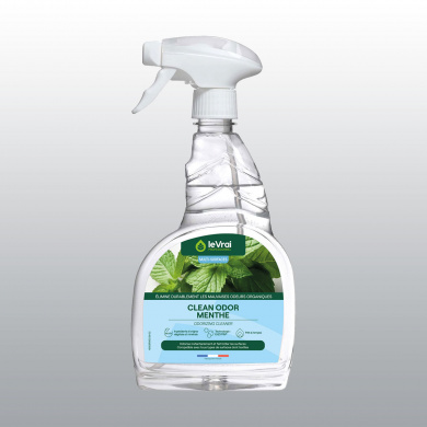 CLEAN ODOR MENTHE LE VRAI PROFESSIONNEL