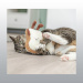 PELUCHE CHAT TOAST