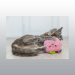 PELUCHE CHAT PECHE 