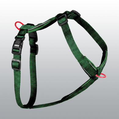 HARNAIS PREMIUM VERT SAPIN 