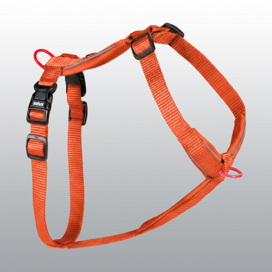 HARNAIS PREMIUM ROUILLE