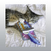 JOUET KONG CHAT CRACKLES SARDINE
