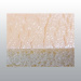 PANSEMENT ANIPLAST SPONGI